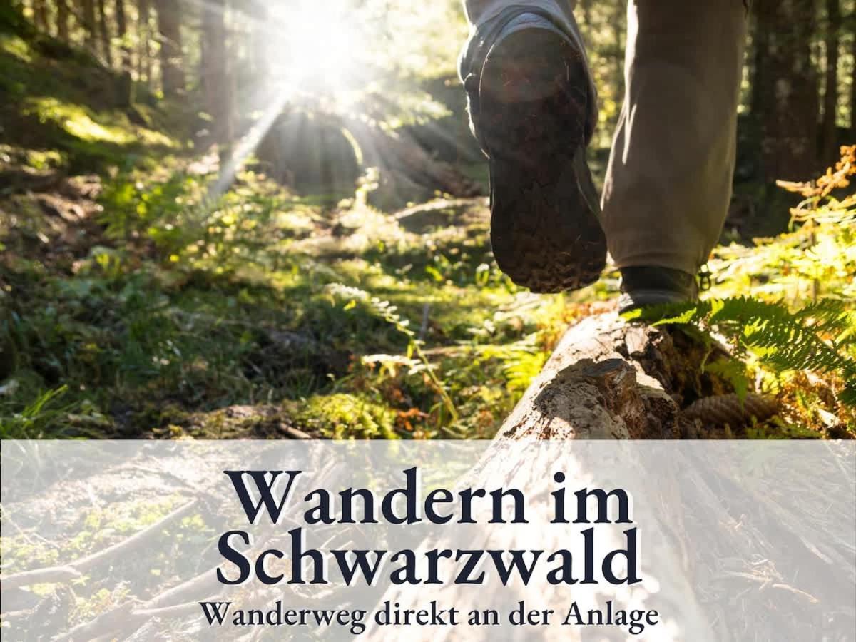 Relax-Apartment 164 Mit Indoor-Pool, Sauna, Kueche Und Netflix Schonach im Schwarzwald Dış mekan fotoğraf